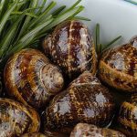 Μπουμπουριστοί χοχλιοί Μπουμπουριστοί χοχλιοί