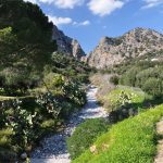 Κριτσά , Νομός Λασιθίου Κριτσά , Νομός Λασιθίου